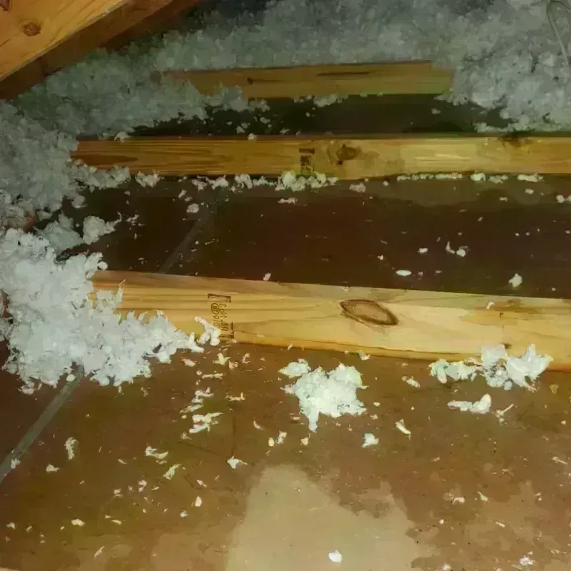 Attic Water Damage in Mira Mesa, CA