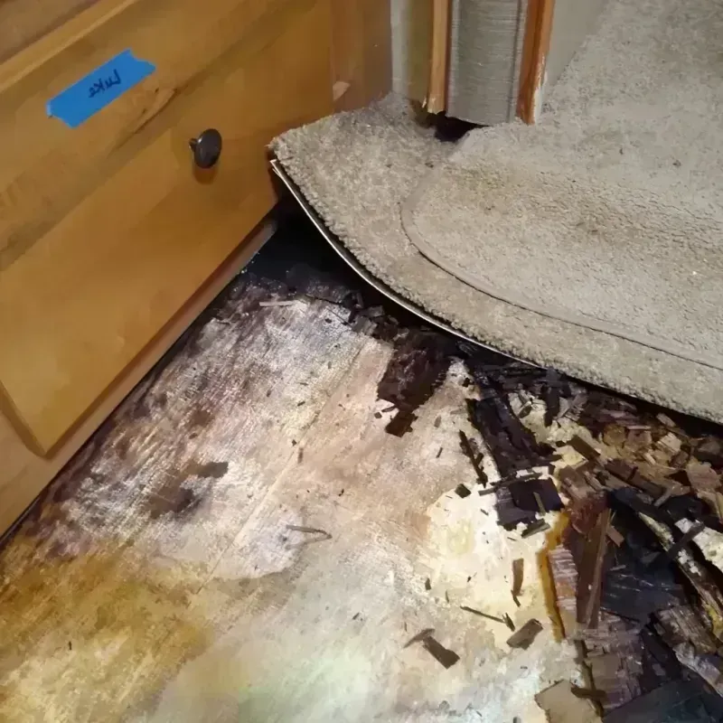 Wood Floor Water Damage in Mira Mesa, CA